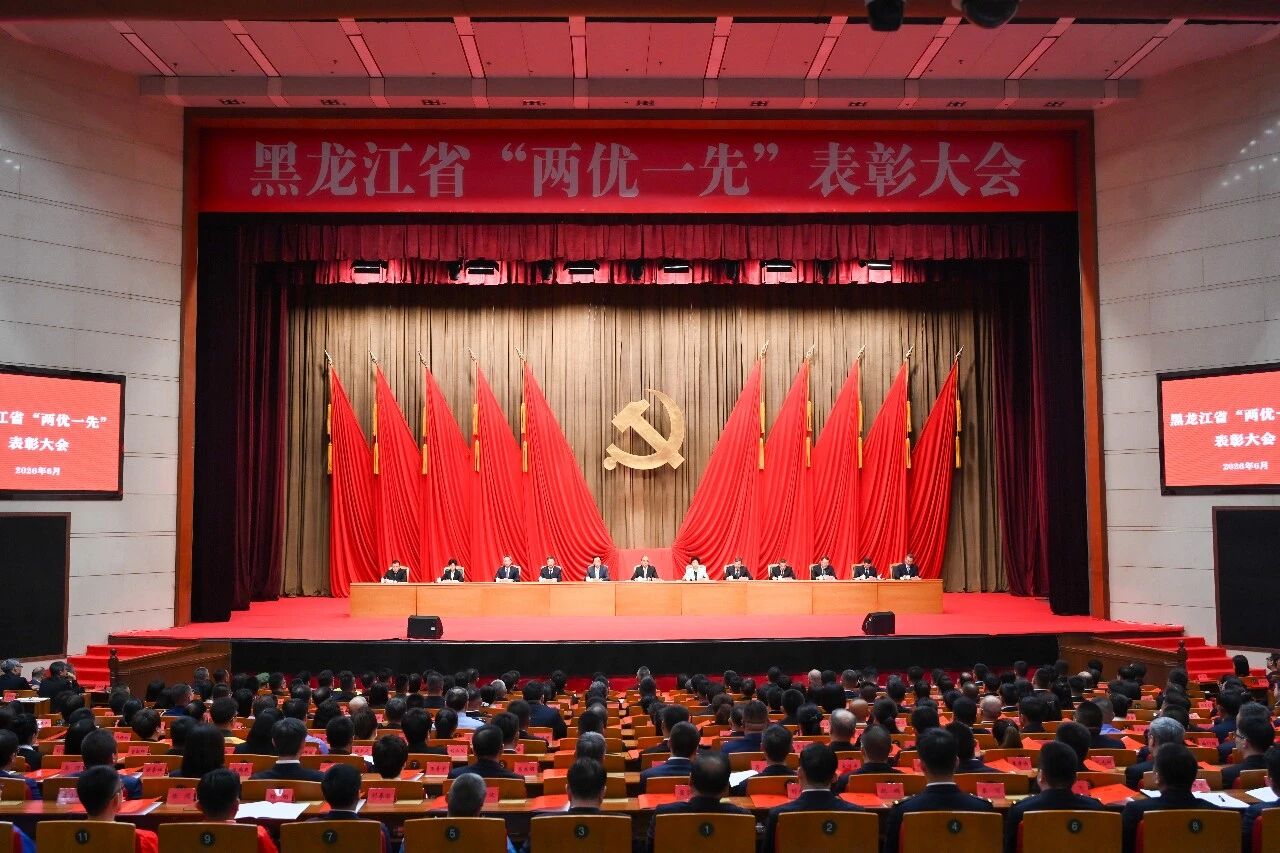 喜报！asiagame官方网站党支部荣获黑龙江省先进基层党组织称号
